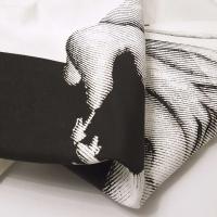 Titel: Inselform Präsentation